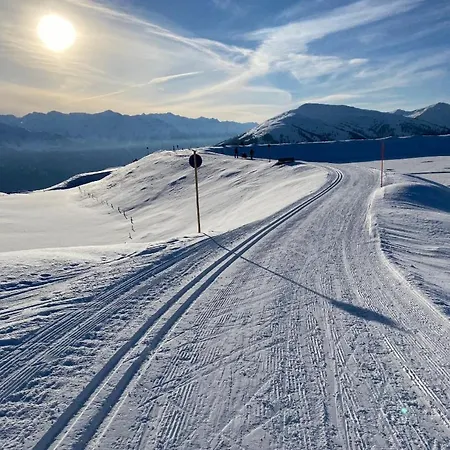 Adler By Jara * كابرون