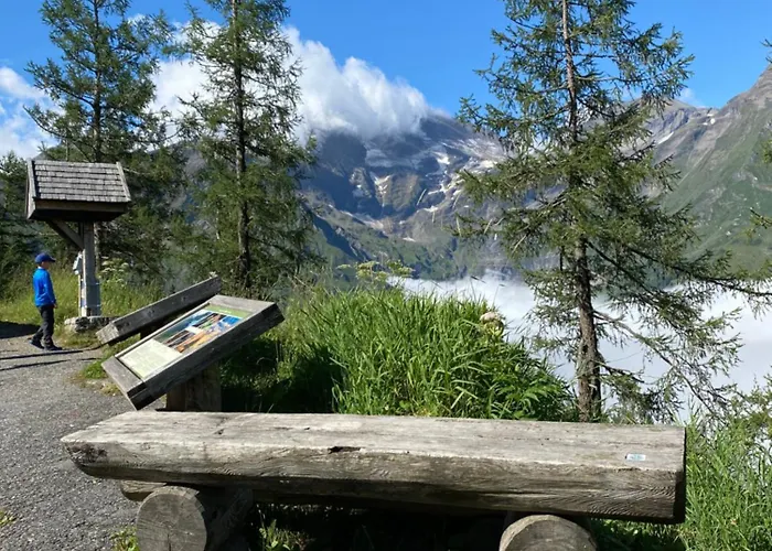 Adler By Jara Kaprun